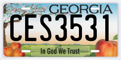 GA license plate CES3531