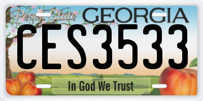 GA license plate CES3533