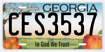 GA license plate CES3537