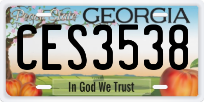 GA license plate CES3538
