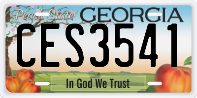 GA license plate CES3541