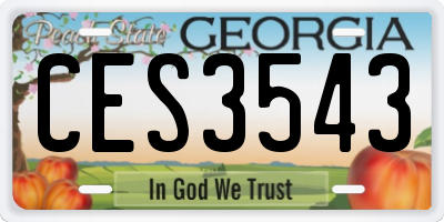 GA license plate CES3543