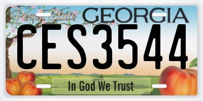 GA license plate CES3544