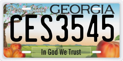 GA license plate CES3545
