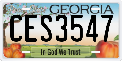 GA license plate CES3547