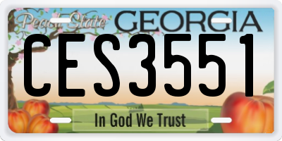GA license plate CES3551