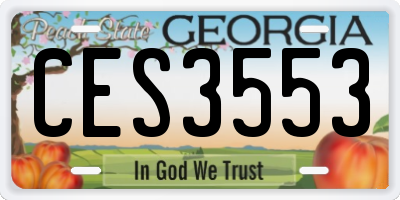 GA license plate CES3553