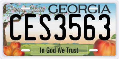 GA license plate CES3563