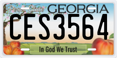 GA license plate CES3564