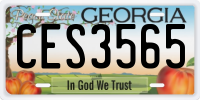 GA license plate CES3565