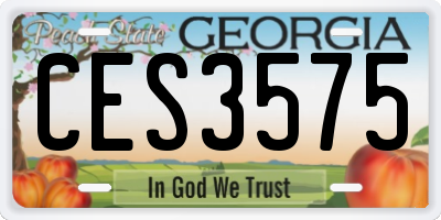 GA license plate CES3575