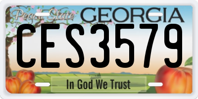 GA license plate CES3579