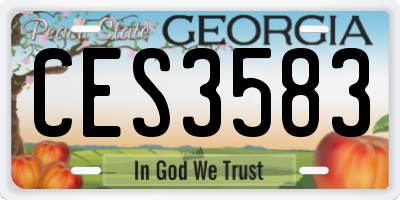 GA license plate CES3583