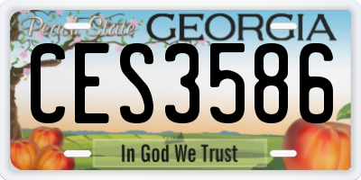 GA license plate CES3586