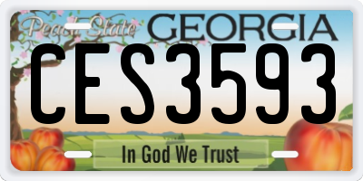GA license plate CES3593