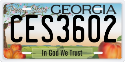GA license plate CES3602