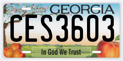 GA license plate CES3603