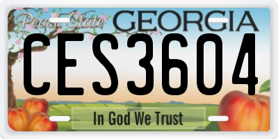 GA license plate CES3604