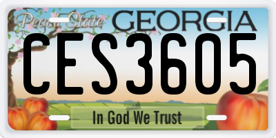 GA license plate CES3605
