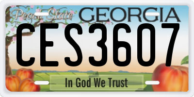 GA license plate CES3607