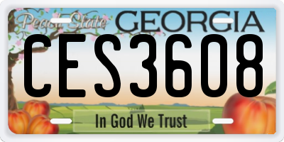 GA license plate CES3608