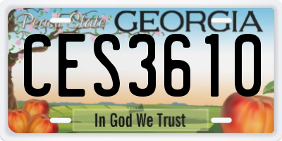 GA license plate CES3610
