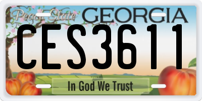 GA license plate CES3611
