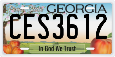GA license plate CES3612
