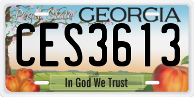GA license plate CES3613