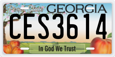 GA license plate CES3614