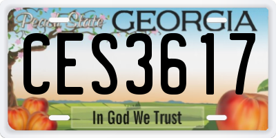 GA license plate CES3617