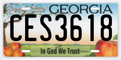 GA license plate CES3618