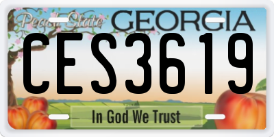 GA license plate CES3619