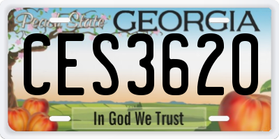 GA license plate CES3620