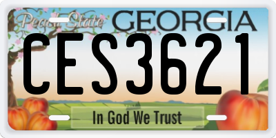 GA license plate CES3621