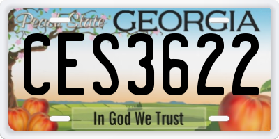 GA license plate CES3622