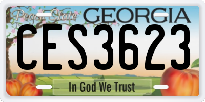 GA license plate CES3623