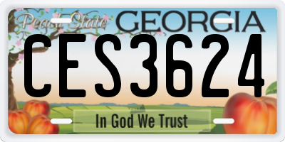 GA license plate CES3624