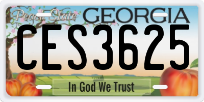 GA license plate CES3625