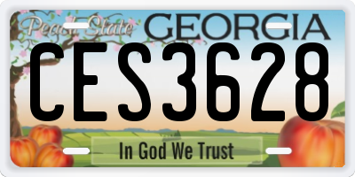 GA license plate CES3628