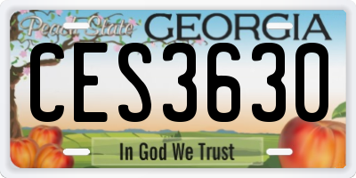GA license plate CES3630