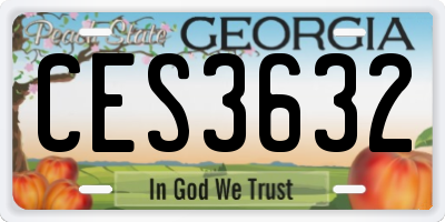 GA license plate CES3632