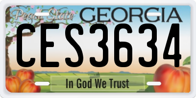 GA license plate CES3634