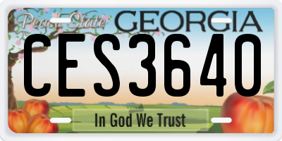 GA license plate CES3640