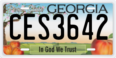 GA license plate CES3642