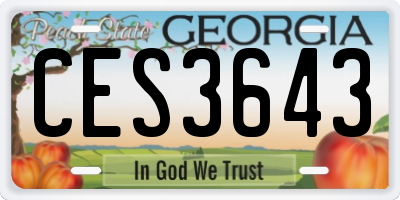 GA license plate CES3643