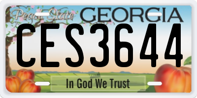 GA license plate CES3644