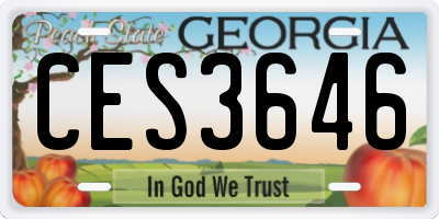 GA license plate CES3646