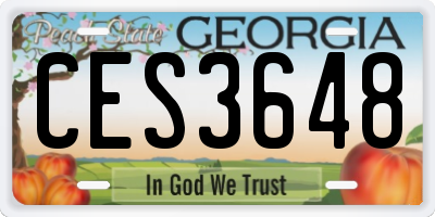 GA license plate CES3648