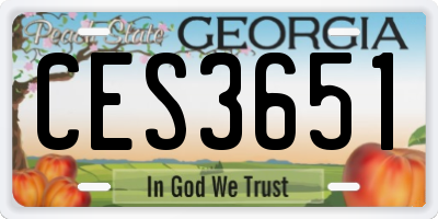 GA license plate CES3651